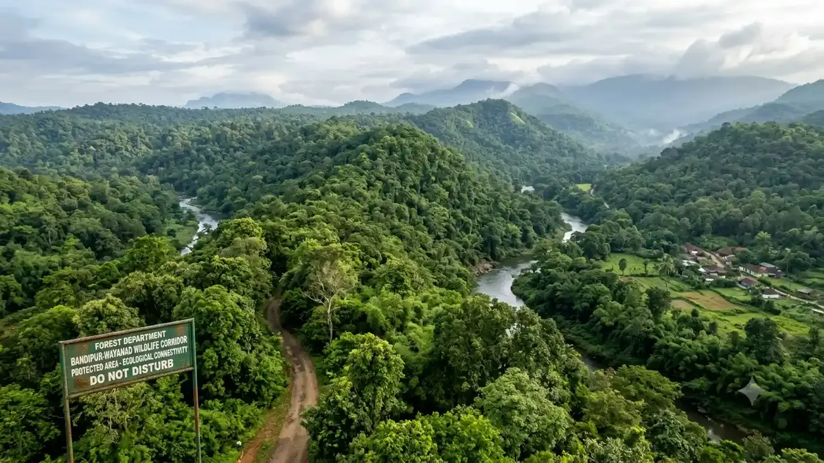 Revisiting India’s Ecological Conservation Framework